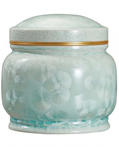 고결7호 블루봉분-A19739