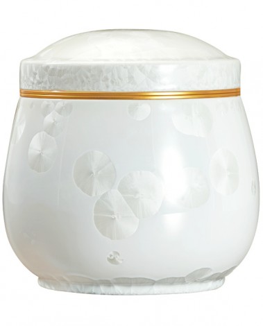 고결5호 화이트호롱-D12739