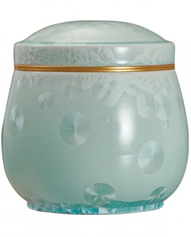 고결4호 블루호롱-F18739