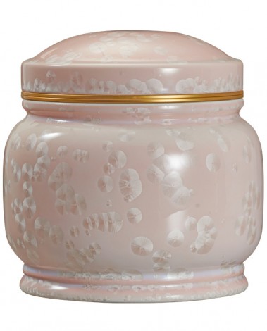 고결9호 핑크봉분-G15739